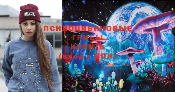 хмурый Абинск