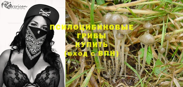 хмурый Абинск