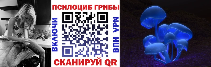 где продают наркотики  Щёлково  Псилоцибиновые грибы ЛСД 